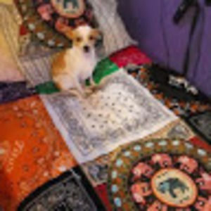 Meet your Posher, Deb